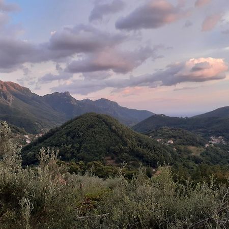 La Casa In Vigna Villa Tramonti Kamer foto