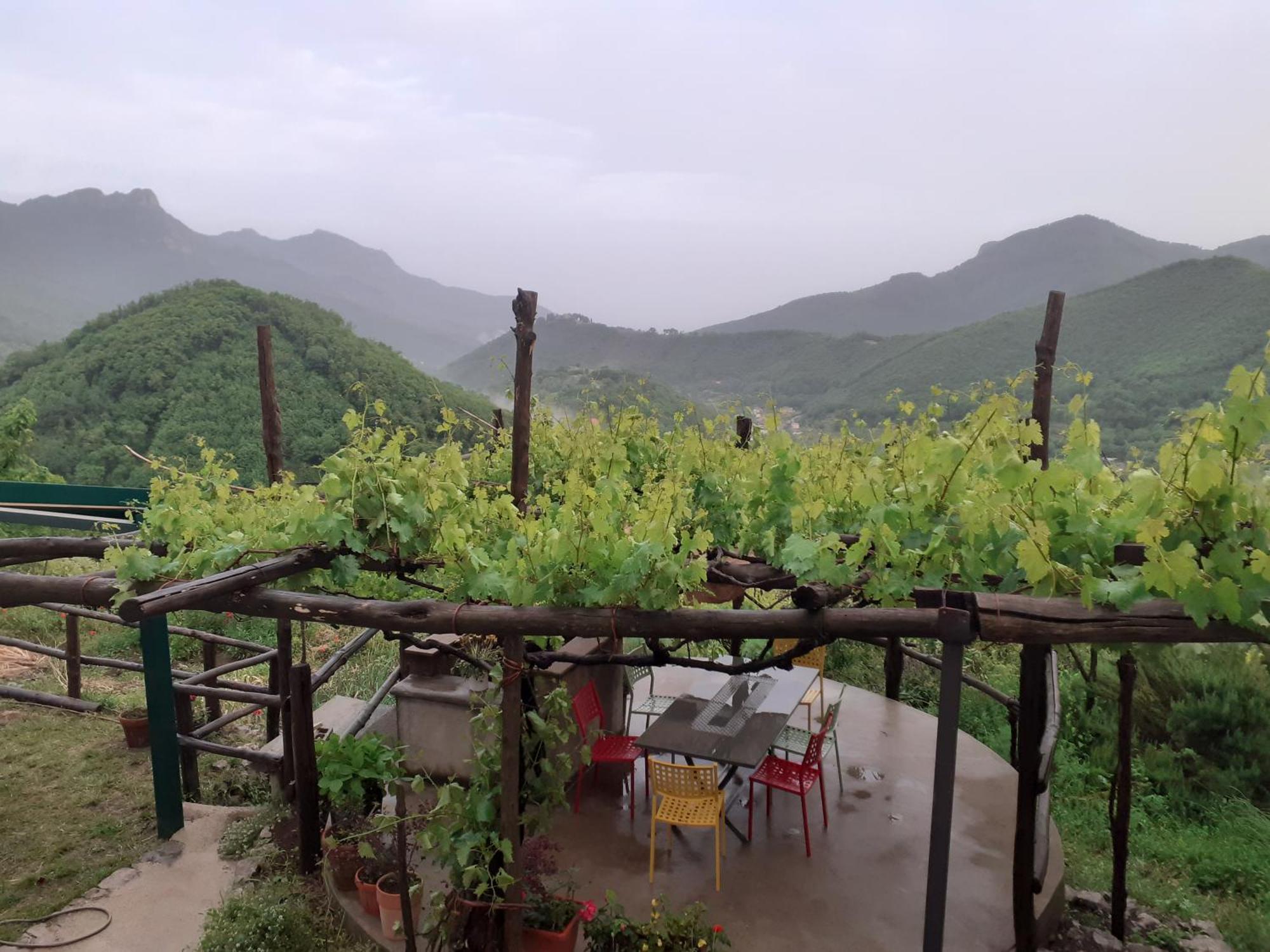 La Casa In Vigna Villa Tramonti Buitenkant foto