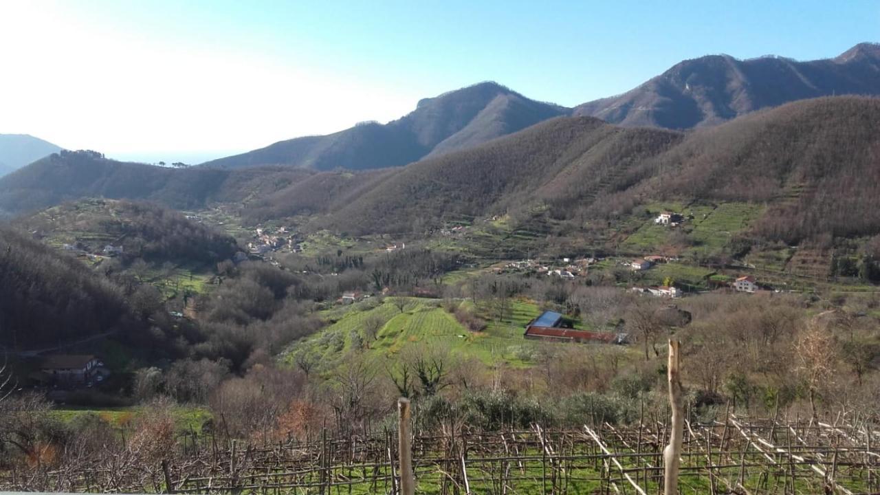 La Casa In Vigna Villa Tramonti Buitenkant foto